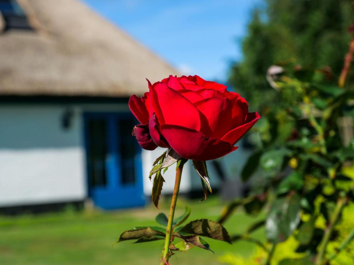 B&B De Oude Skuur tuinkamer Ooi Oosterend  Buitenkant foto